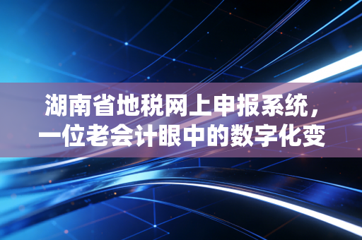 湖南省地税网上申报系统，一位老会计眼中的数字化变迁与实操心得