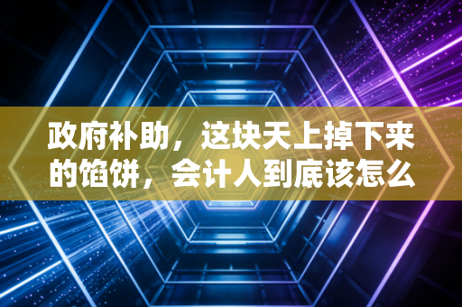 政府补助，这块天上掉下来的馅饼，会计人到底该怎么接？