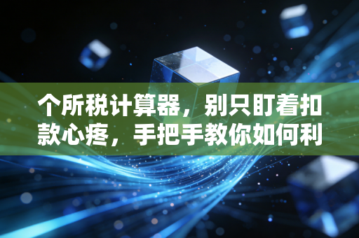 个所税计算器，别只盯着扣款心疼，手把手教你如何利用规则涨工资