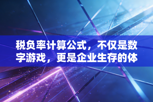 税负率计算公式，不仅是数字游戏，更是企业生存的体检表