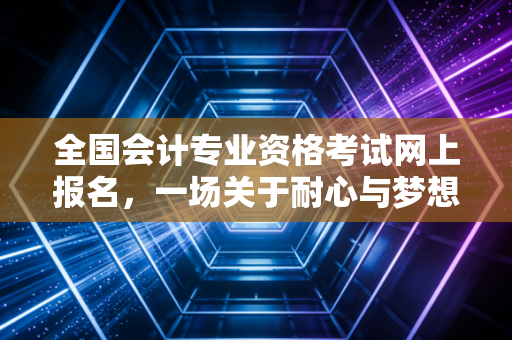 全国会计专业资格考试网上报名,一场关于耐心与梦想的数字闯关记