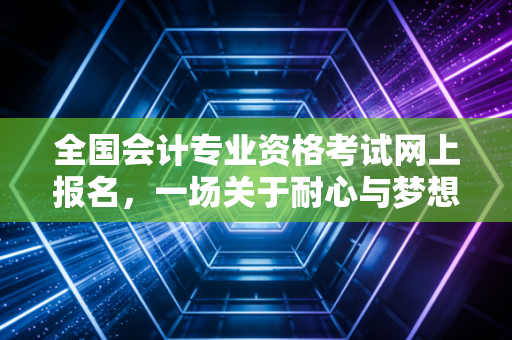 全国会计专业资格考试网上报名,一场关于耐心与梦想的数字闯关记