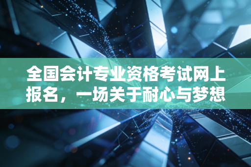 全国会计专业资格考试网上报名，一场关于耐心与梦想的数字闯关记