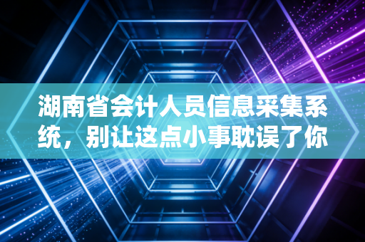湖南省会计人员信息采集系统，别让这点小事耽误了你的考证大计与职业发展