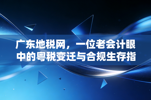 广东地税网,一位老会计眼中的粤税变迁与合规生存指南