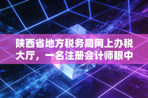 陕西省地方税务局网上办税大厅，一名注册会计师眼中的数字化办税实战与思考