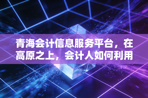 青海会计信息服务平台,在高原之上,会计人如何利用数字化工具实现自我跃迁?