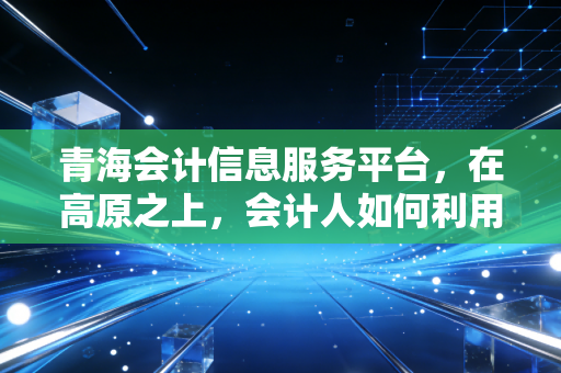 青海会计信息服务平台,在高原之上,会计人如何利用数字化工具实现自我跃迁?