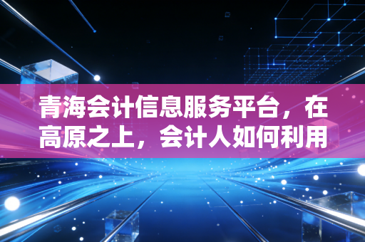 青海会计信息服务平台，在高原之上，会计人如何利用数字化工具实现自我跃迁？