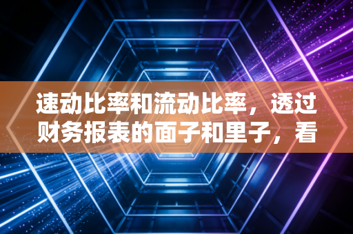 速动比率和流动比率,透过财务报表的面子和里子,看懂企业的真家伙