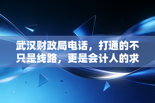 武汉财政局电话,打通的不只是线路,更是会计人的求生欲与行业变迁