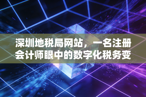 深圳地税局网站，一名注册会计师眼中的数字化税务变迁与实操指南