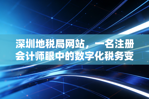 深圳地税局网站，一名注册会计师眼中的数字化税务变迁与实操指南
