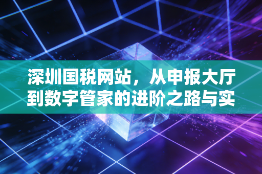 深圳国税网站，从申报大厅到数字管家的进阶之路与实操感悟