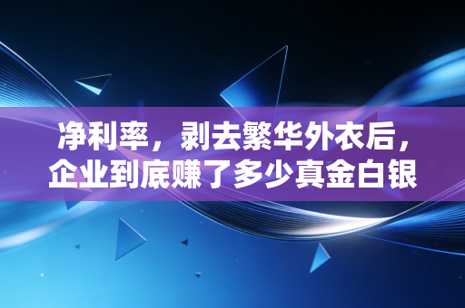 详细阅读:净利率,剥去繁华外衣后,企业到底赚了多少真金白银? 净利率,剥去繁华外衣后,企业到底赚了多少真金白银?