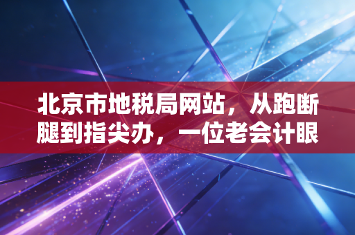 北京市地税局网站,从跑断腿到指尖办,一位老会计眼中的税务数字化变迁