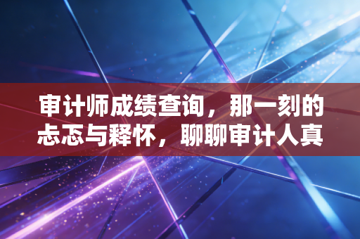 审计师成绩查询，那一刻的忐忑与释怀，聊聊审计人真实的进阶之路