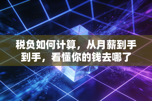 税负如何计算，从月薪到手到手，看懂你的钱去哪了