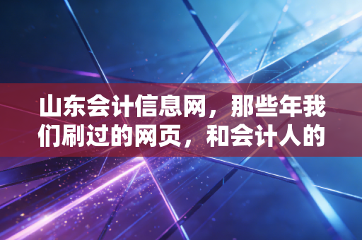 山东会计信息网,那些年我们刷过的网页,和会计人的进阶之路