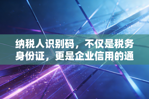 纳税人识别码,不仅是税务身份证,更是企业信用的通行证