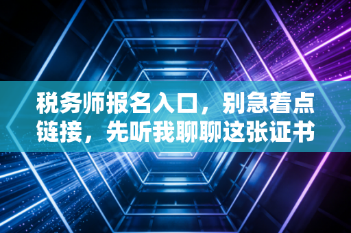 税务师报名入口,别急着点链接,先听我聊聊这张证书背后的坑与光