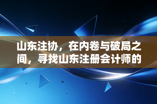 山东注协,在内卷与破局之间,寻找山东注册会计师的温情与坚守