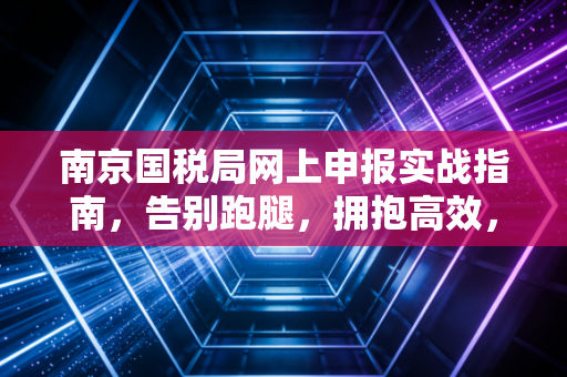 南京国税局网上申报实战指南,告别跑腿,拥抱高效,财务人的云端生存法则