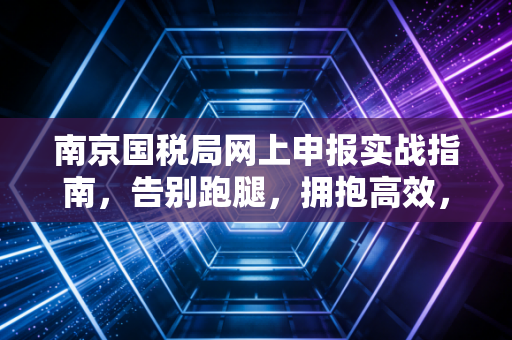 南京国税局网上申报实战指南，告别跑腿，拥抱高效，财务人的云端生存法则