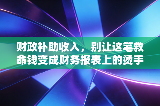 财政补助收入,别让这笔救命钱变成财务报表上的烫手山芋——一位注会老兵的深度复盘