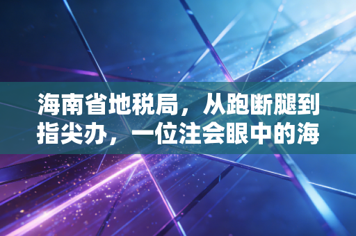 海南省地税局,从跑断腿到指尖办,一位注会眼中的海南税务进化史