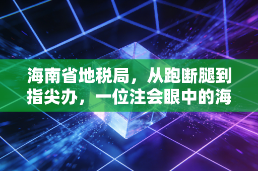 海南省地税局,从跑断腿到指尖办,一位注会眼中的海南税务进化史