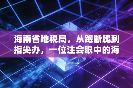 海南省地税局，从跑断腿到指尖办，一位注会眼中的海南税务进化史
