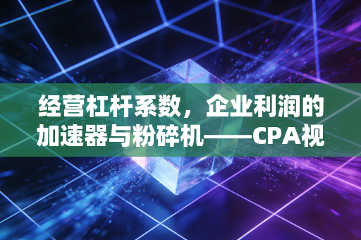 经营杠杆系数,企业利润的加速器与粉碎机——CPA视角下的商业生存法则
