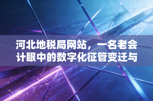 河北地税局网站,一名老会计眼中的数字化征管变迁与实务指南