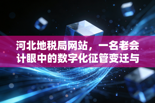 河北地税局网站,一名老会计眼中的数字化征管变迁与实务指南