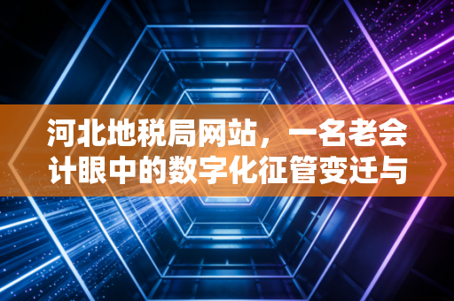 河北地税局网站，一名老会计眼中的数字化征管变迁与实务指南