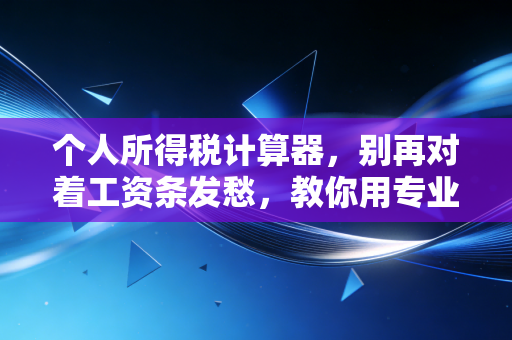 个人所得税计算器,别再对着工资条发愁,教你用专业眼光看懂你的钱袋子