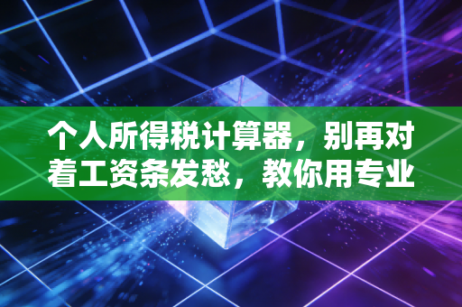 个人所得税计算器,别再对着工资条发愁,教你用专业眼光看懂你的钱袋子