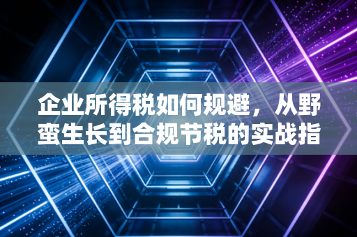 企业所得税如何规避，从野蛮生长到合规节税的实战指南