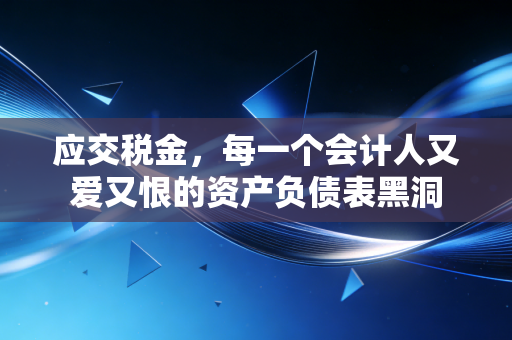 应交税金,每一个会计人又爱又恨的资产负债表黑洞