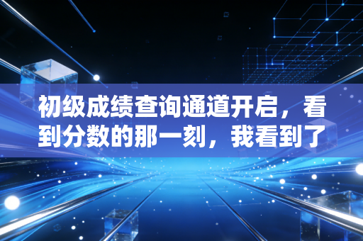 初级成绩查询通道开启，看到分数的那一刻，我看到了无数会计人的焦虑与希望