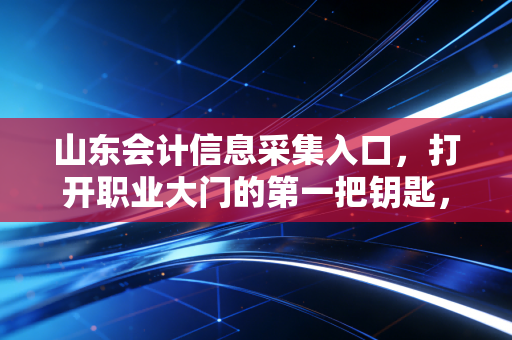 山东会计信息采集入口,打开职业大门的第一把钥匙,千万别填错!