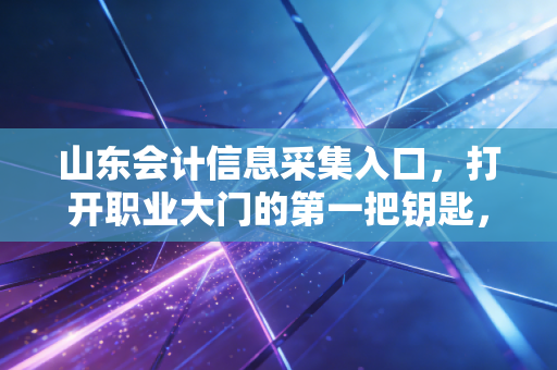 山东会计信息采集入口，打开职业大门的第一把钥匙，千万别填错！