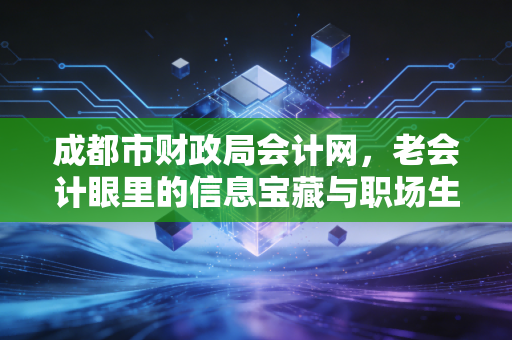 成都市财政局会计网,老会计眼里的信息宝藏与职场生存指南