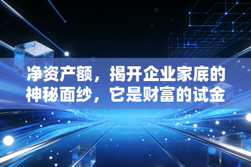 净资产额，揭开企业家底的神秘面纱，它是财富的试金石还是虚幻的泡沫？