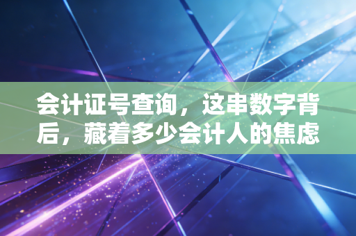 会计证号查询,这串数字背后,藏着多少会计人的焦虑与成长