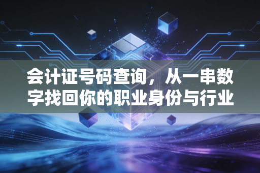 会计证号码查询,从一串数字找回你的职业身份与行业变迁