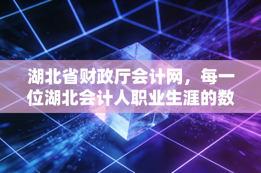 湖北省财政厅会计网,每一位湖北会计人职业生涯的数字锚点与情感寄托