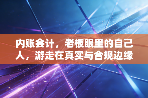 内账会计,老板眼里的自己人,游走在真实与合规边缘的影子管家