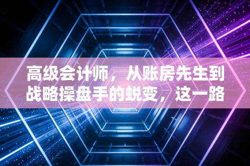 高级会计师，从账房先生到战略操盘手的蜕变，这一路我看见了什么？